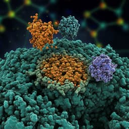 Tailored Functionalized Protein Nanocarriers for Cancer Therapy: Recent Developments and Prospects