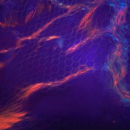 Machine learning the microscopic form of nematic order in twisted double-bilayer graphene