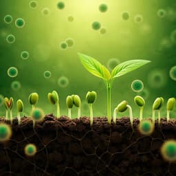 Utilization of lysed and dried bacterial biomass from the marine purple photosynthetic bacterium *Rhodovulum sulfidophilum* as a sustainable nitrogen fertilizer for plant production