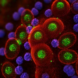 Spotlight on Genetic Kidney Diseases: A Call for Drug Delivery and Nanomedicine Solutions
