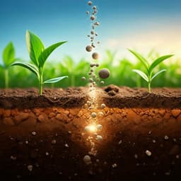 Effects of solid oxygen fertilizers and biochars on nitrous oxide production from agricultural soils in Florida