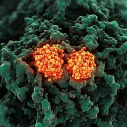 Two linear epitopes on the SARS-CoV-2 spike protein that elicit neutralizing antibodies in COVID-19 patients