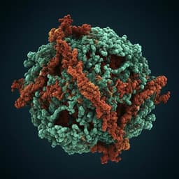Structural basis for the activation of plant bunyavirus replication machinery and its dual-targeted inhibition by ribavirin