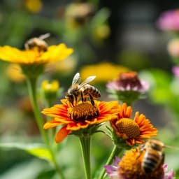 Citizen science data reveals the need for keeping garden plant recommendations up-to-date to help pollinators