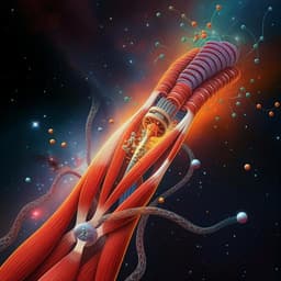 Explainable machine learning identifies multi-omics signatures of muscle response to spaceflight in mice