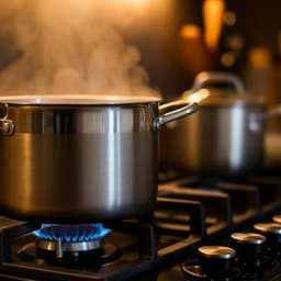 Investigating aluminum cookpots as a source of lead exposure in Afghan refugee children resettled in the United States