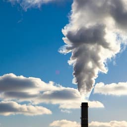 Rapid growth and high cloud-forming potential of anthropogenic sulfate aerosol in a thermal power plant plume during COVID lockdown in India