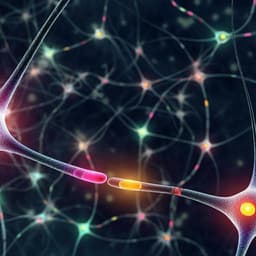A genetically encoded tool for reconstituting synthetic modulatory neurotransmission and reconnect neural circuits in vivo