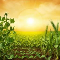 Global systematic review with meta-analysis reveals yield advantage of legume-based rotations and its drivers
