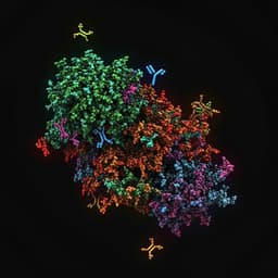 Potent neutralization of SARS-CoV-2 variants by RBD nanoparticle and prefusion-stabilized spike immunogens