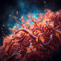 Transplanted human iPSC-derived vascular endothelial cells promote functional recovery by recruitment of regulatory T cells to ischemic white matter in the brain