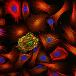 Single-cell RNA sequencing reveals the cellular and molecular heterogeneity of treatment-naïve primary osteosarcoma in dogs