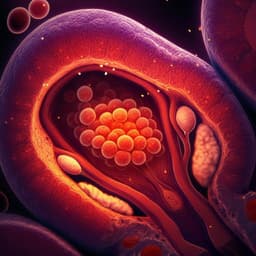 Ovarian follicular dynamics, progesterone concentrations, pregnancy rates and transcriptional patterns in *Bos indicus* females with a high or low antral follicle count