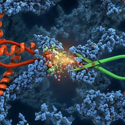 Characterising proteolysis during SARS-CoV-2 infection identifies viral cleavage sites and cellular targets with therapeutic potential
