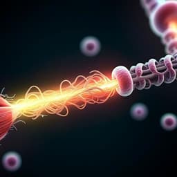 Miniaturized and untethered McKibben muscles based on photothermal-induced gas-liquid transformation
