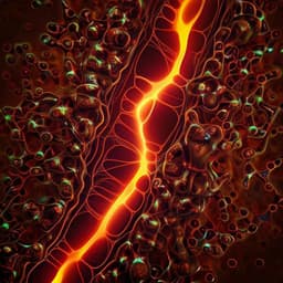 Biasing the conformation of ELMO2 reveals that myoblast fusion can be exploited to improve muscle regeneration