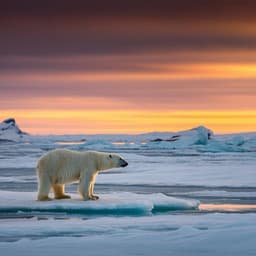 Ice-free period too long for Southern and Western Hudson Bay polar bear populations if global warming exceeds 1.6 to 2.6 °C