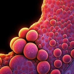 Evaluation of enzymatic protocols to optimize efficiency of bovine adipose tissue-derived mesenchymal stromal cell isolation