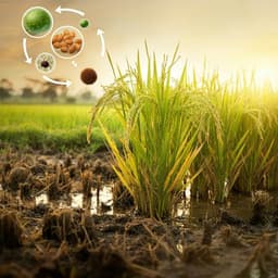 Effect of straw and inhibitors on the fate of nitrogen applied to paddy soil