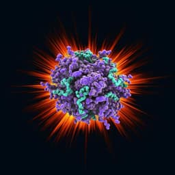 Observation of a single protein by ultrafast X-ray diffraction